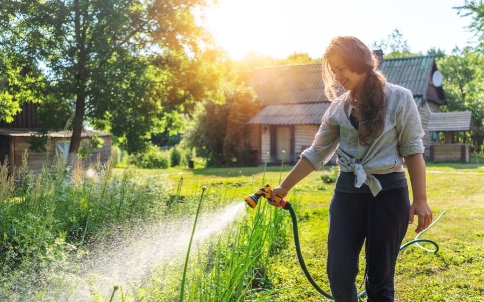 Is Softened Water Safe for Your Garden & Plants?